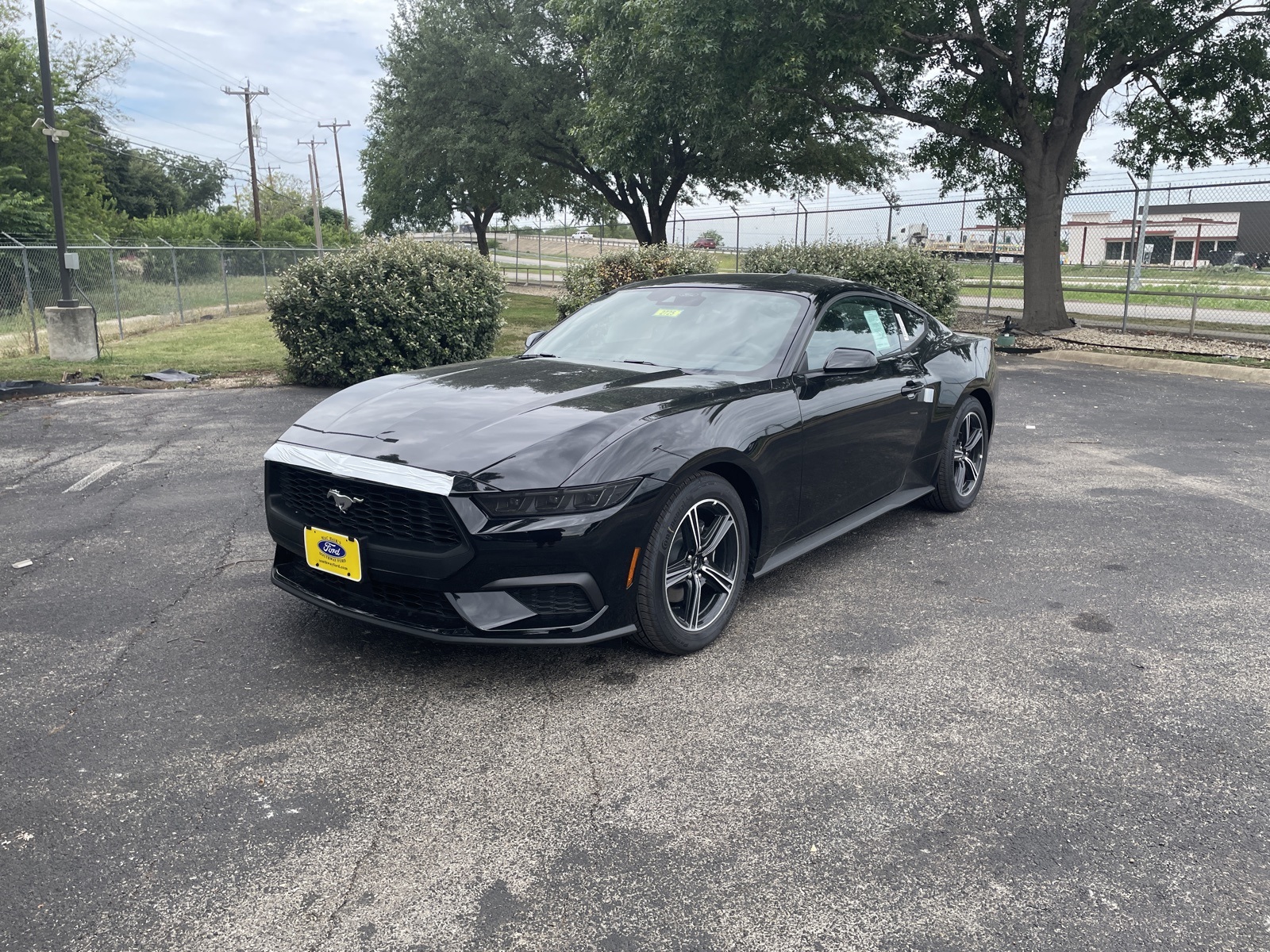 New 2025 Ford Mustang EcoBoost® in San Antonio, TX 1FA6P8TH8S5122588