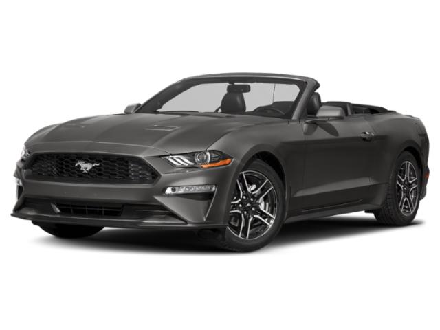 2019 Ford Mustang EcoBoost®