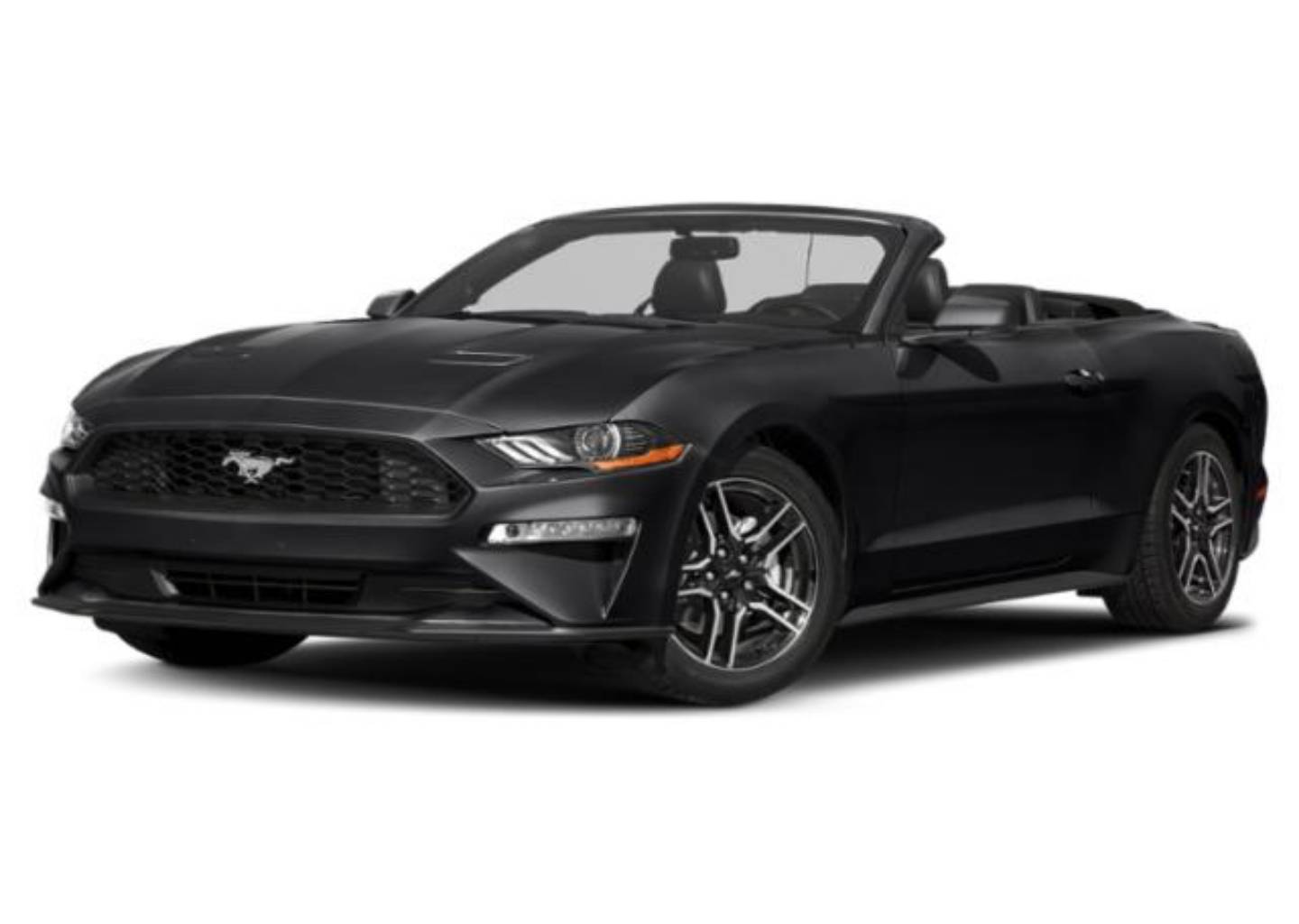 2019 Ford Mustang EcoBoost Convertible Premium's photo