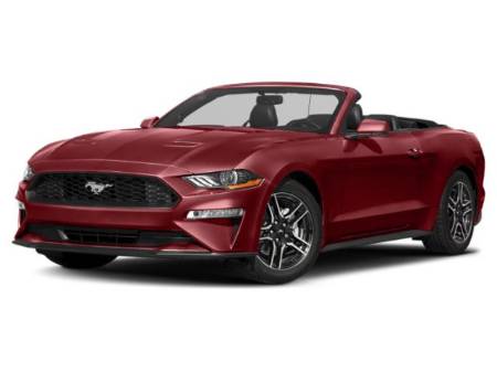 2019 Ford Mustang EcoBoost®