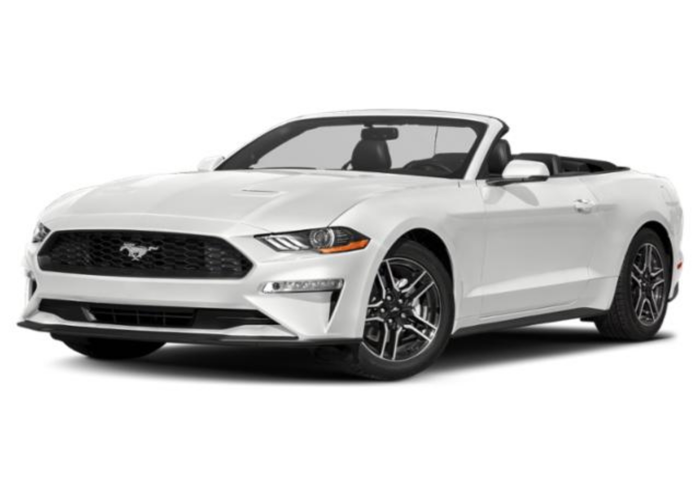 2021 Ford Mustang EcoBoost Premium Convertible's photo