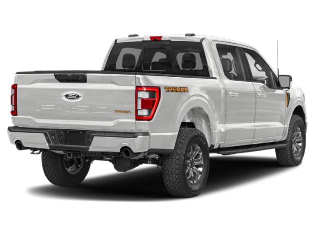 Used 2021 Ford F-150 Tremor with VIN 1FTEW1E86MFC74248 for sale in Saint Cloud, Minnesota