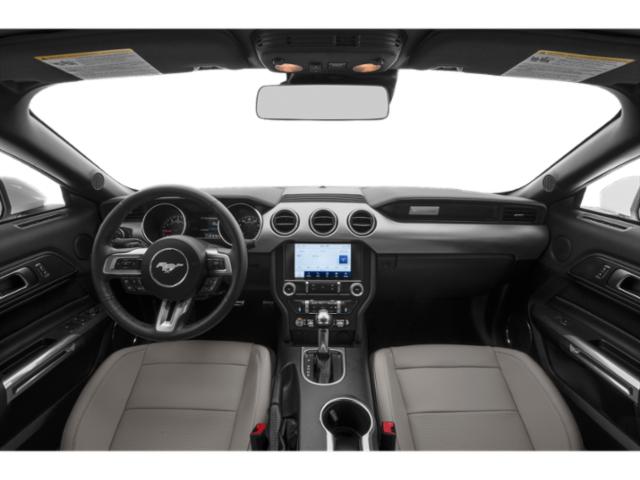 Showcase Image