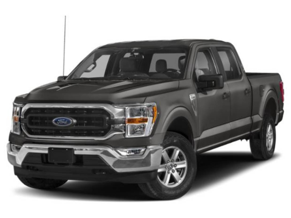 2023 Ford F-150 XLT's photo