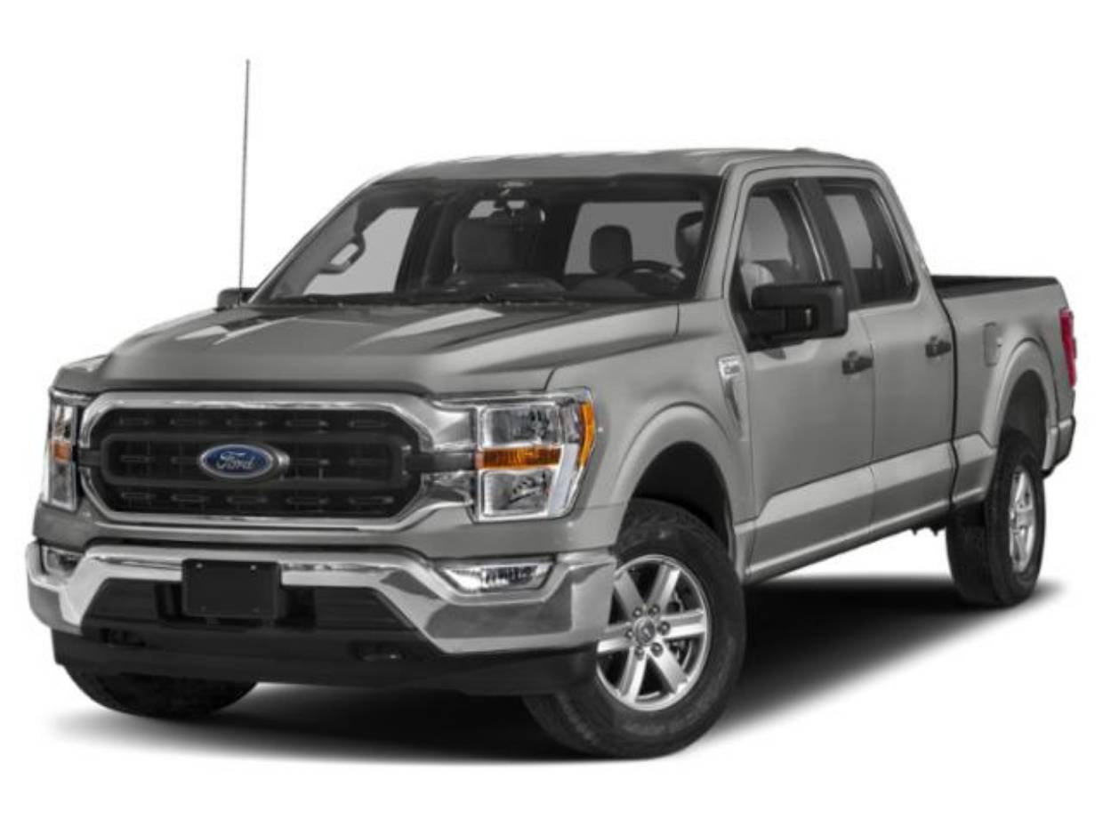 2023 Ford F-150 XLT's photo
