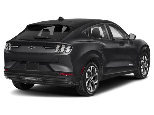 Used 2022 Ford Mustang Mach-E Premium AWD with VIN 3FMTK3SS2NMA34397 for sale in Heidelberg, PA