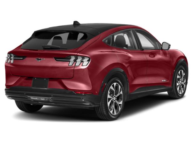 Used 2021 Ford Mustang Mach-E Premium AWD First Edition with VIN 3FMTK3SU9MMA07505 for sale in Washington, PA