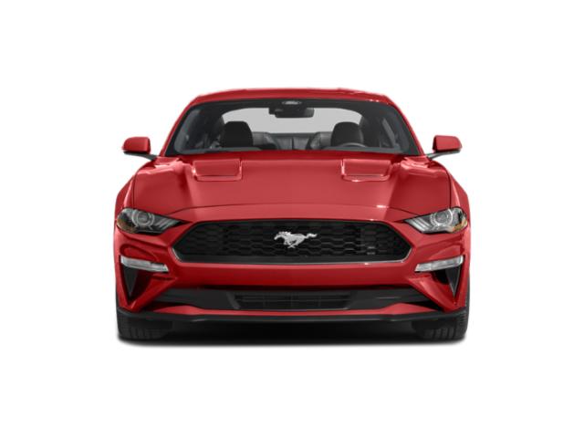 2023 Ford Mustang EcoBoost Premium photo 4