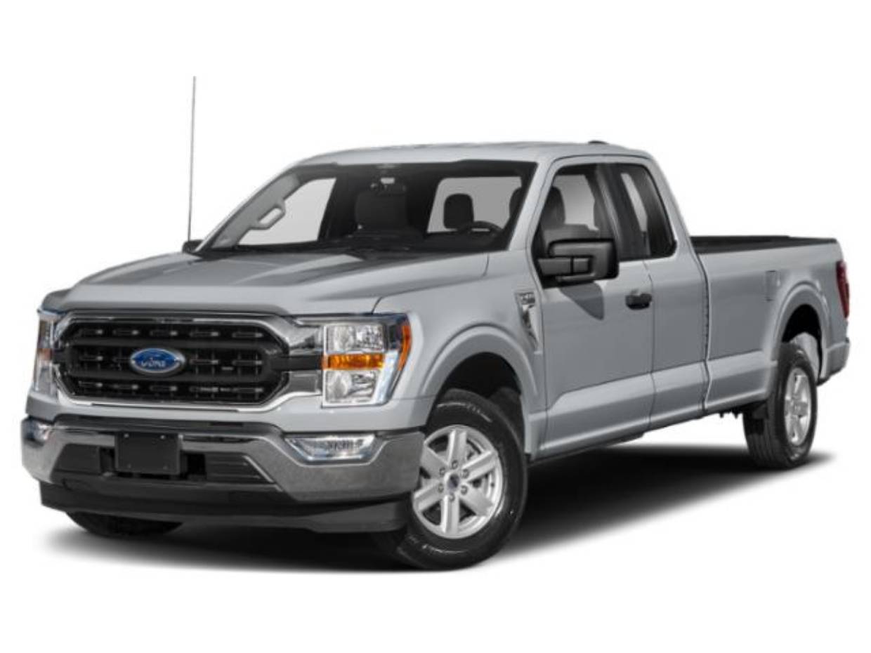 2023 Ford F-150 XLT's photo