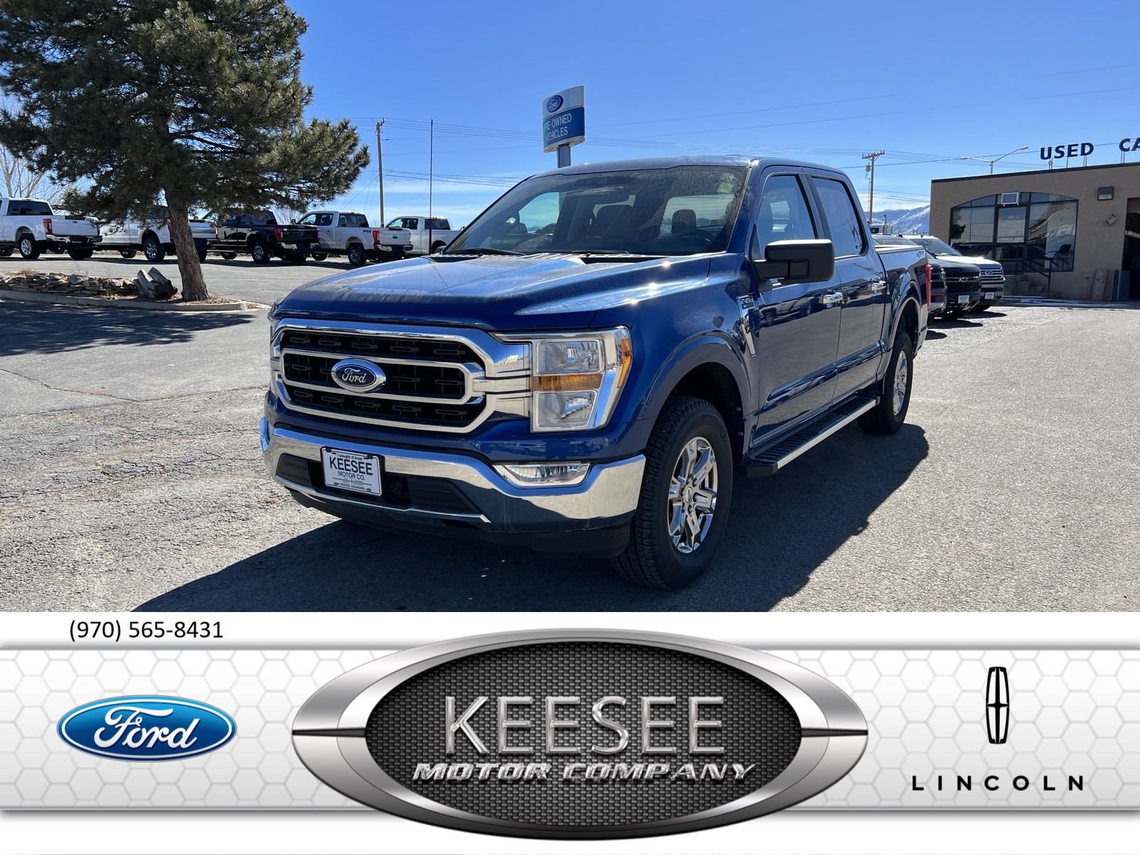 Used 2022 Ford F-150 XLT with VIN 1FTEW1EB0NFA36344 for sale in Cortez, CO