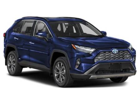 Showcase Image