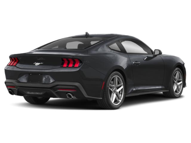 2025 Ford Mustang photo 2