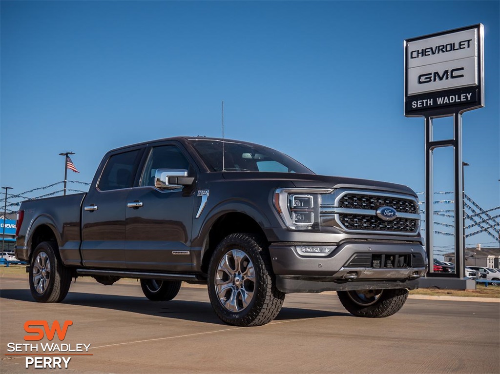 2022 Ford F-150 Platinum