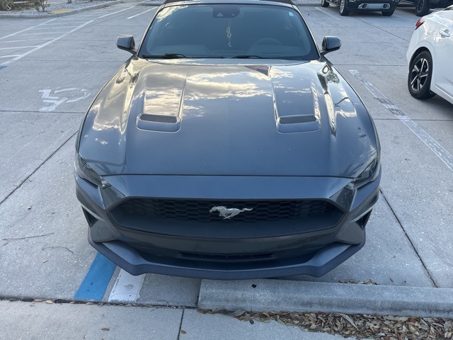 2019 Ford Mustang EcoBoost®