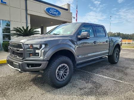 Used 2020 Ford F-150 Raptor with VIN 1FTFW1RGXLFC67257 for sale in Darien, GA