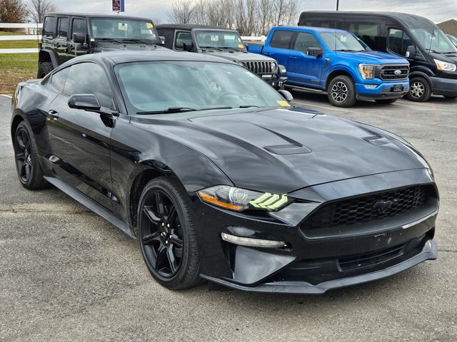 Used 2019 Ford Mustang EcoBoost with VIN 1FA6P8TH4K5201997 for sale in Kansas City, MO