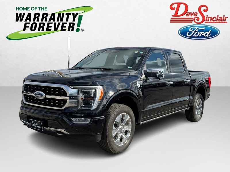 2023 Ford F-150 4WD Platinum SuperCrew