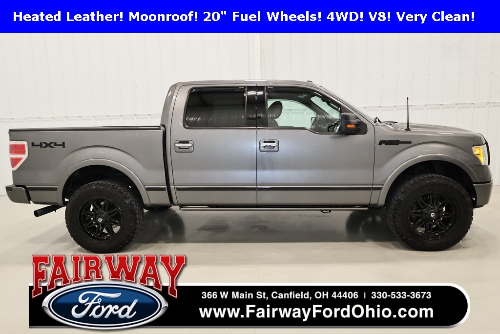 2010 Ford F-150 Platinum