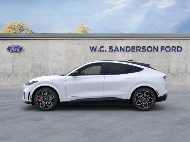 2023 Ford Mustang Mach-E GT photo 4