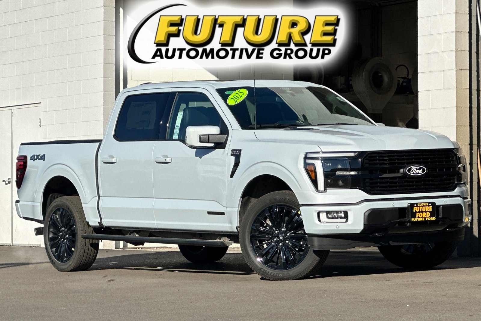 2025 Ford F-150 Platinum