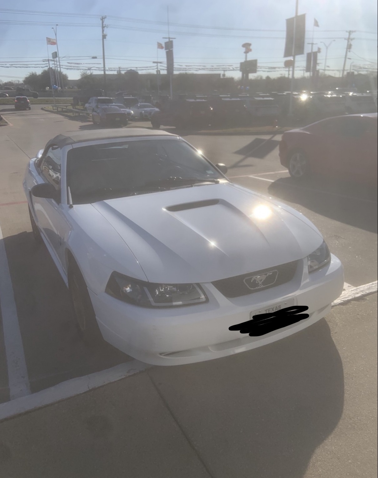 1999 Ford Mustang V6