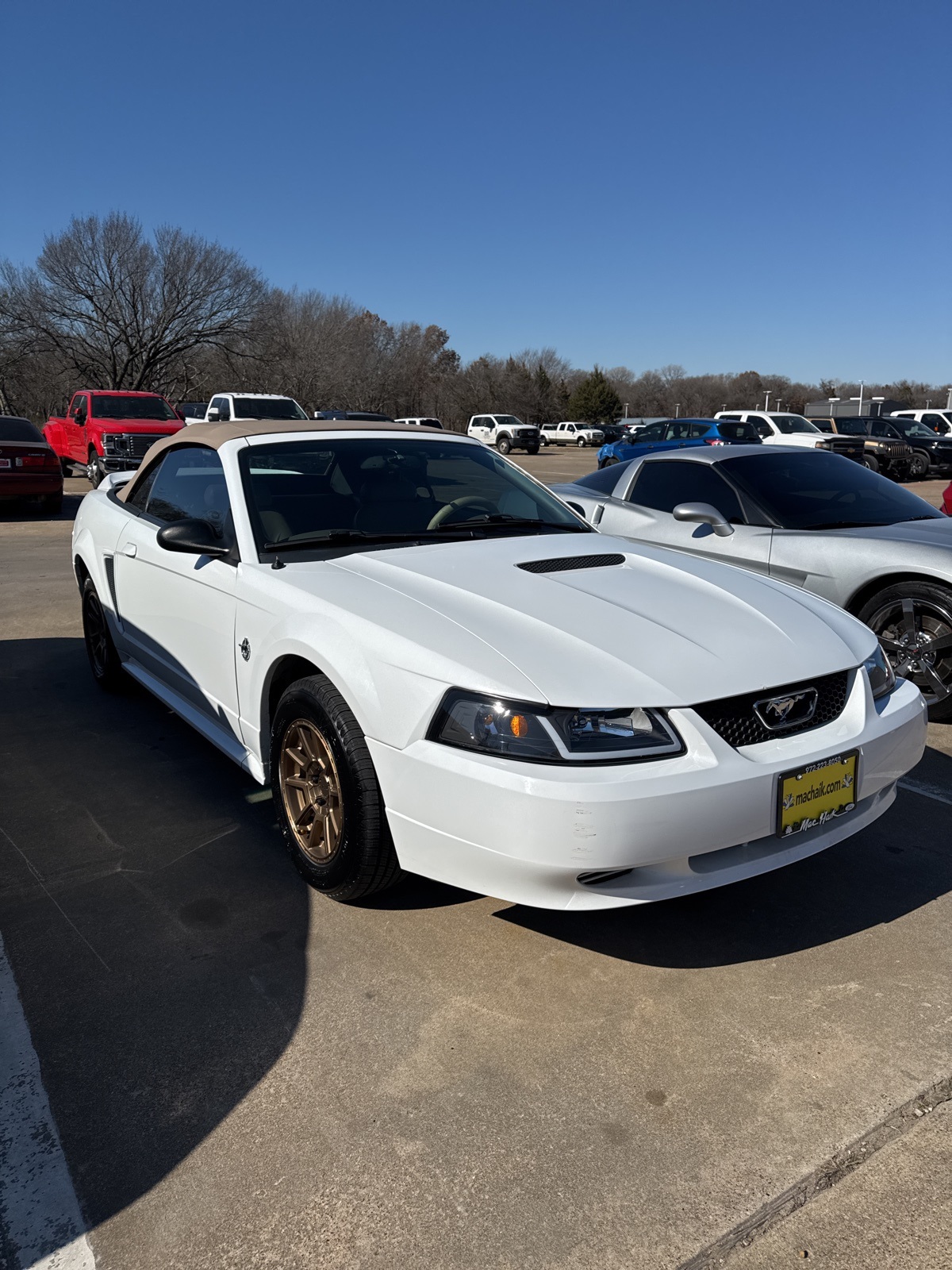 1999 Ford Mustang V6