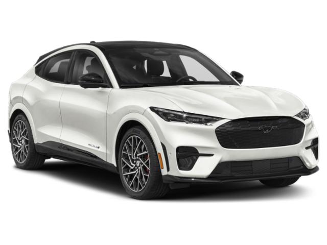2022 Ford Mustang Mach-E GT photo 30