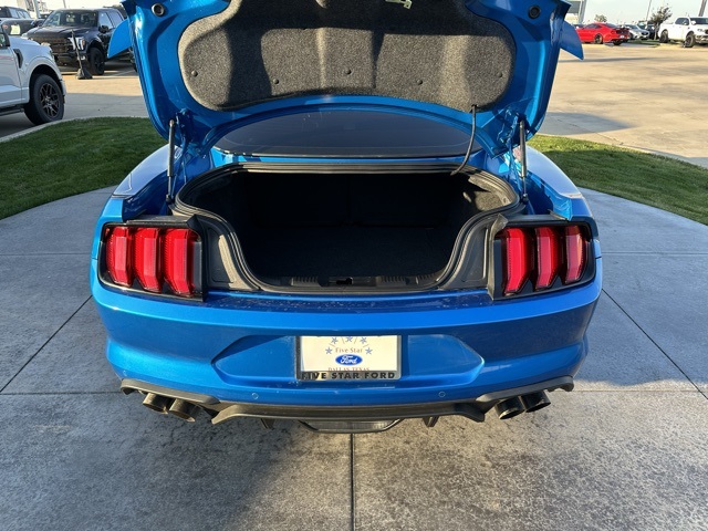 Trunk Ledge Kit | FORD MUSTANG SHELBY GT350R 2018 Trunk Ledge Kit | FORD MUSTANG SHELBY GT350R 2018