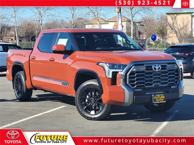 2025 Toyota Tundra Platinum