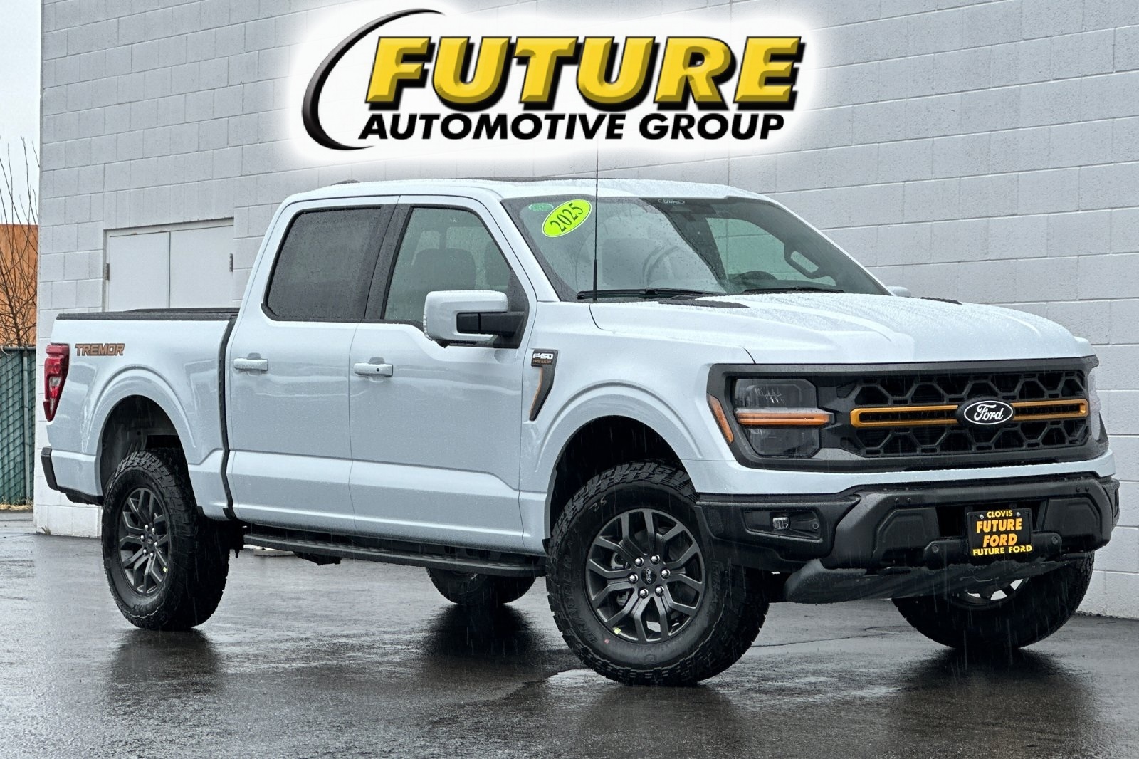 New 2025 Ford F-150 Tremor