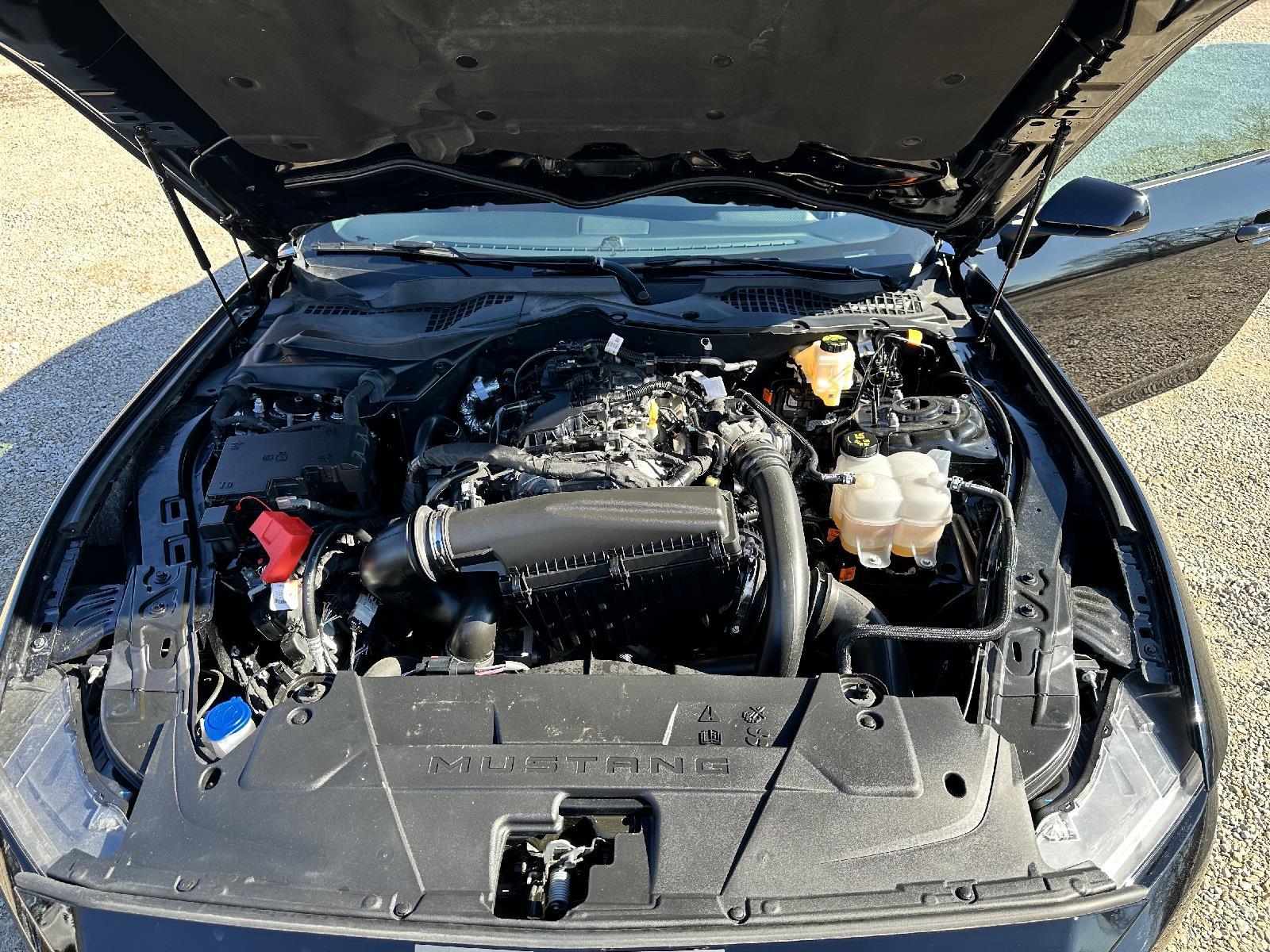 2024 Ford Mustang Premium photo 11