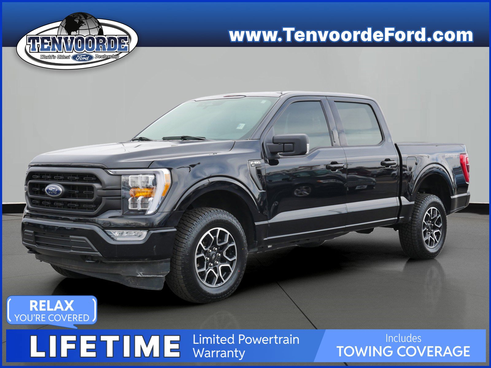 Used 2023 Ford F-150 XLT with VIN 1FTFW1E54PFA63452 for sale in Saint Cloud, MN