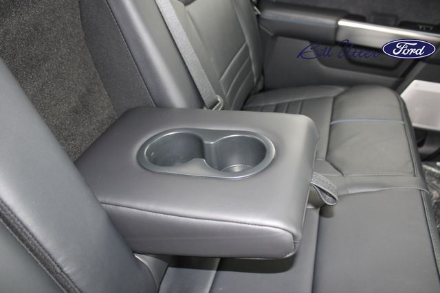 2025 Ford F-150 Platinum photo 11
