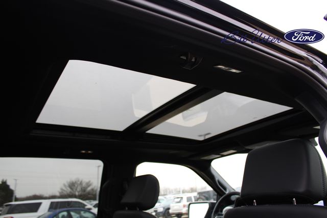 2025 Ford F-150 Platinum photo 13