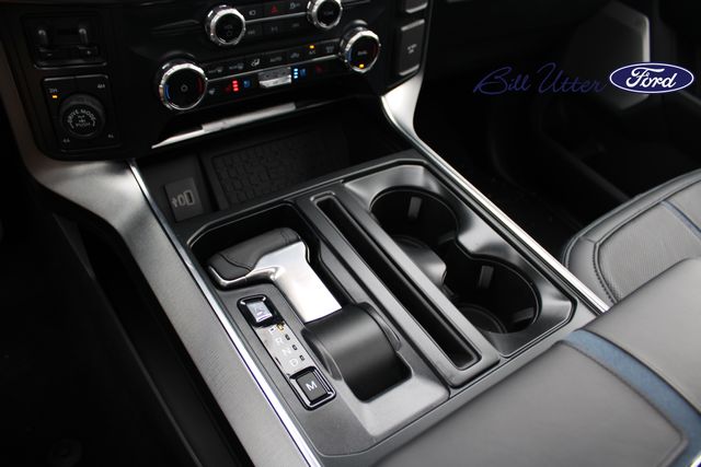 2025 Ford F-150 Platinum photo 15
