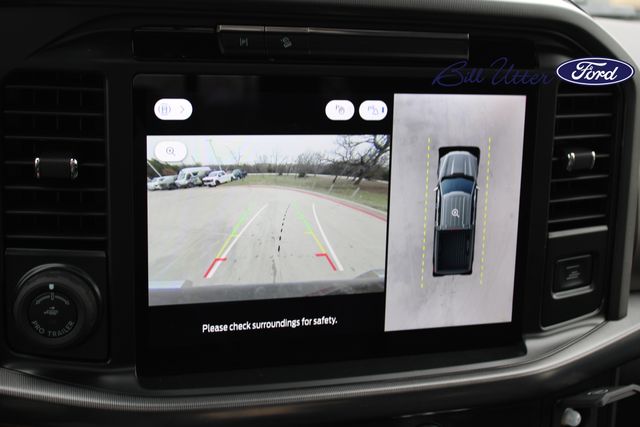 2025 Ford F-150 Platinum photo 18