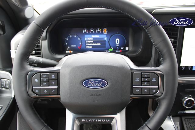 2025 Ford F-150 Platinum photo 19
