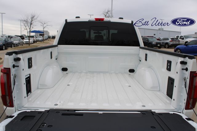 2025 Ford F-150 Platinum photo 6