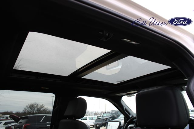 2025 Ford F-150 Platinum photo 14
