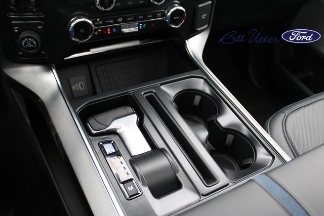 2025 Ford F-150 Platinum photo 16