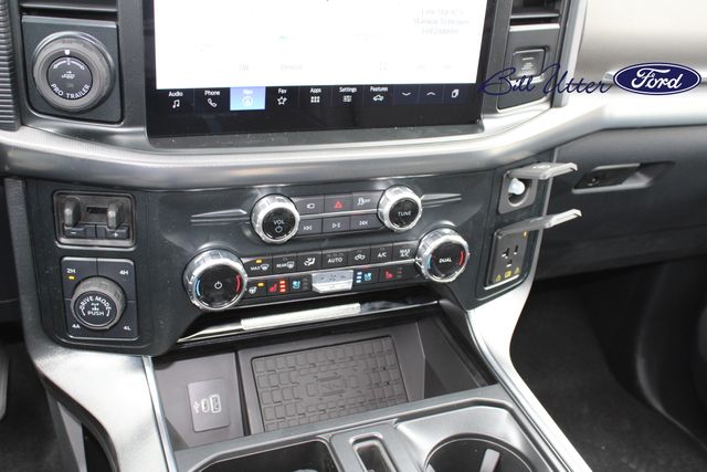 2025 Ford F-150 Platinum photo 17
