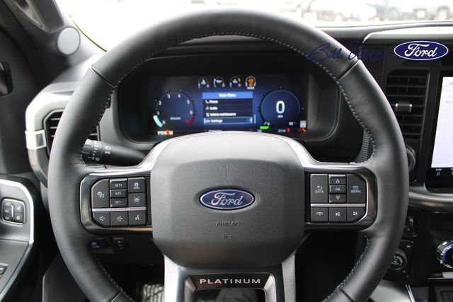 2025 Ford F-150 Platinum photo 20