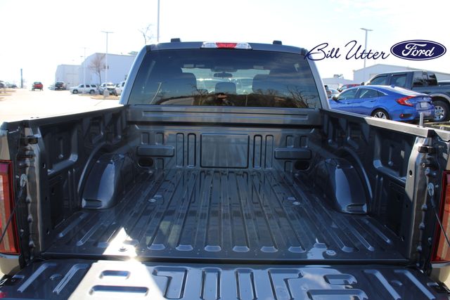 2025 Ford F-150 STX photo 6