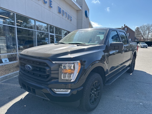 2023 Ford F-150 XLT photo 3