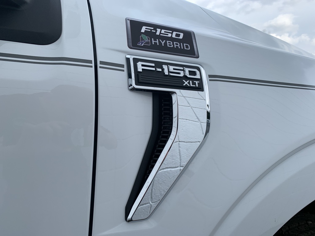 Showcase Image