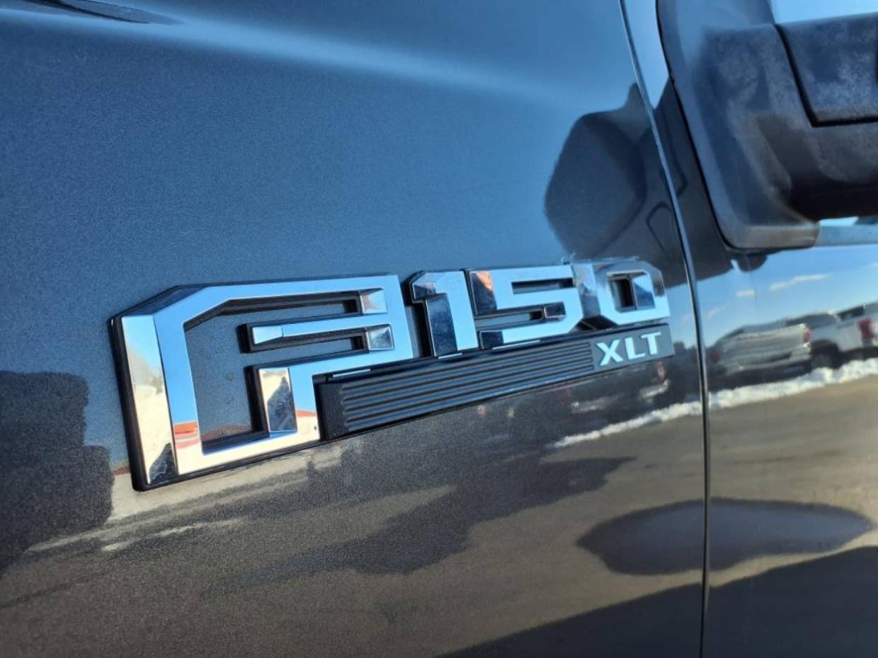 Used 2016 Ford F-150 XLT with VIN 1FTEX1EP4GKG00015 for sale in Minong, WI