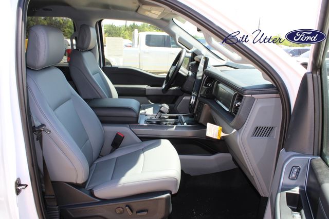 2025 Ford F-150 Lightning photo 9