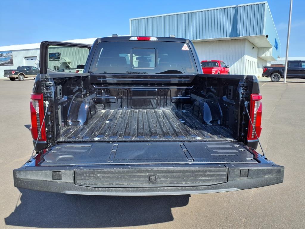 2025 Ford F-150 XLT photo 6