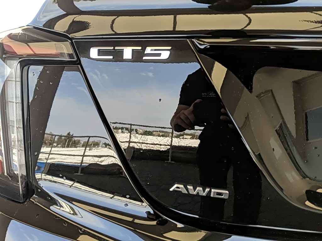 Showcase Image