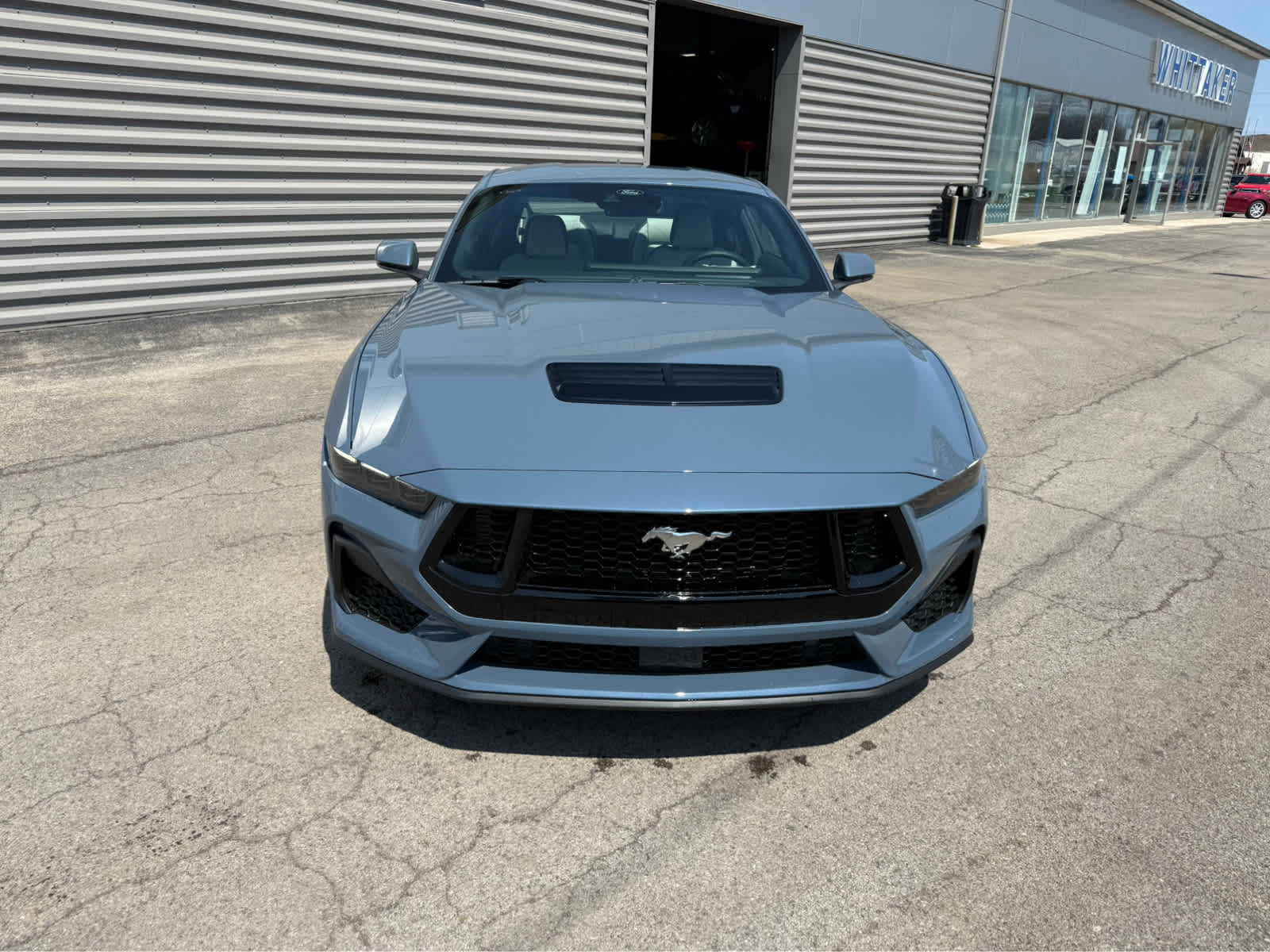 2025 Ford Mustang GT Premium photo 3